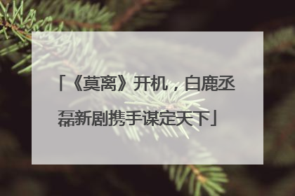 《莫离》开机，白鹿丞磊新剧携手谋定天下