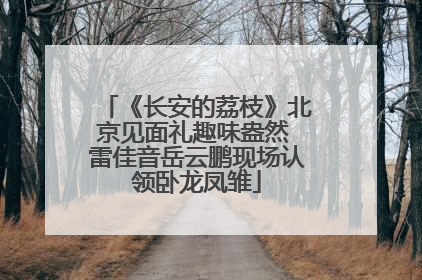 《长安的荔枝》北京见面礼趣味盎然 雷佳音岳云鹏现场认领卧龙凤雏