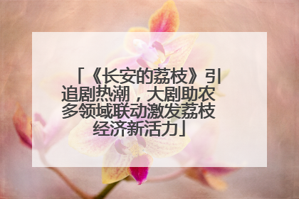 《长安的荔枝》引追剧热潮，大剧助农多领域联动激发荔枝经济新活力