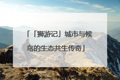 「狮游记」城市与候鸟的生态共生传奇