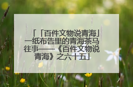 「百件文物说青海」一纸布告里的青海茶马往事——《百件文物说青海》之六十五