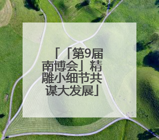 「第9届南博会」精雕小细节共谋大发展