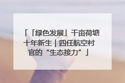 「绿色发展」千亩荷塘 十年新生｜四任航空村官的“生态接力”