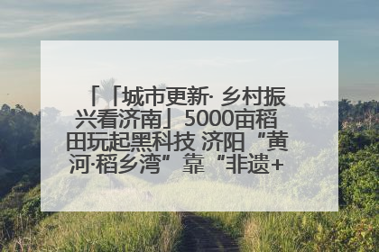 「城市更新· 乡村振兴看济南」5000亩稻田玩起黑科技 济阳“黄河·稻乡湾”靠“非遗+露营”火出圈