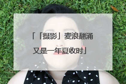 「摄影」麦浪翻涌 又是一年夏收时