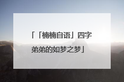 「楠楠自语」四字弟弟的如梦之梦