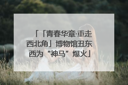 「青春华章·重走西北角」博物馆丑东西为“神马”爆火