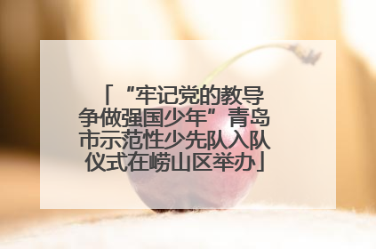 “牢记党的教导 争做强国少年”青岛市示范性少先队入队仪式在崂山区举办