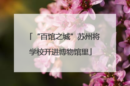 “百馆之城”苏州将学校开进博物馆里