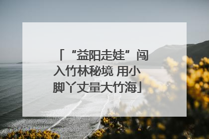“益阳走娃”闯入竹林秘境 用小脚丫丈量大竹海