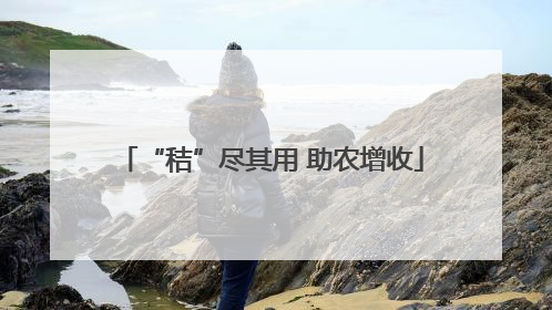 “秸”尽其用 助农增收