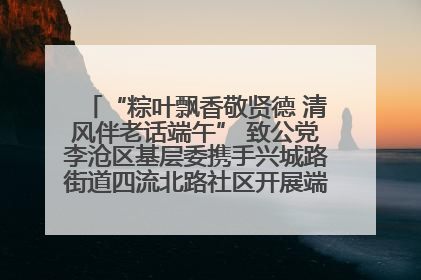 “粽叶飘香敬贤德 清风伴老话端午” 致公党李沧区基层委携手兴城路街道四流北路社区开展端午节主题活动
