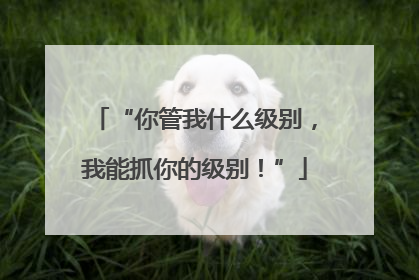 “你管我什么级别，我能抓你的级别！”