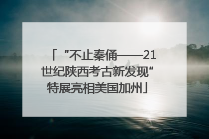 “不止秦俑——21世纪陕西考古新发现”特展亮相美国加州