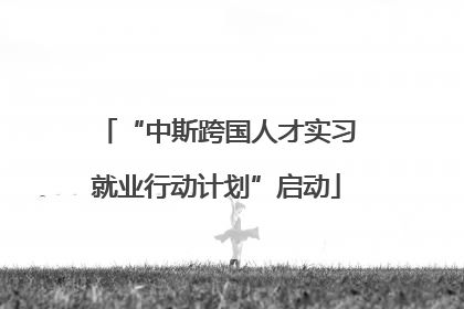 “中斯跨国人才实习就业行动计划”启动