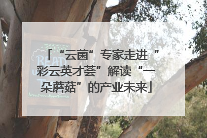 “云菌”专家走进“彩云英才荟”解读“一朵蘑菇”的产业未来
