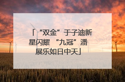 “双金”于子迪新星闪耀 “九冠”潘展乐如日中天