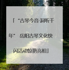 “古琴今音·洞听千年” 岳阳古琴文化快闪活动惊艳亮相