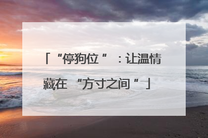 “停狗位 ”：让温情藏在 “方寸之间 ”