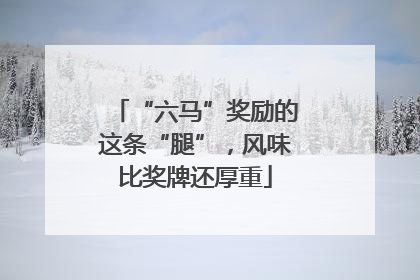 “六马”奖励的这条“腿”，风味比奖牌还厚重