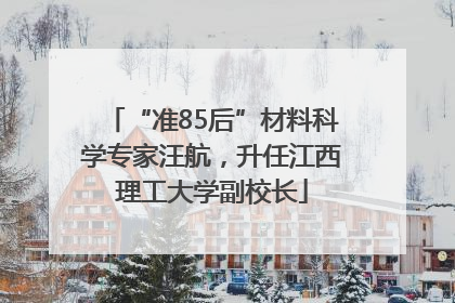 “准85后”材料科学专家汪航，升任江西理工大学副校长