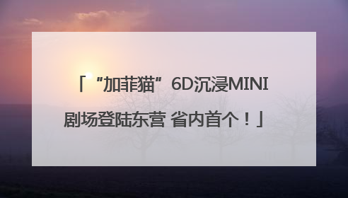 “加菲猫”6D沉浸MINI剧场登陆东营 省内首个！
