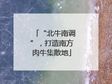 “北牛南调”，打造南方肉牛集散地
