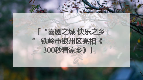 “喜剧之城 快乐之乡” 铁岭市银州区亮相《300秒看家乡》