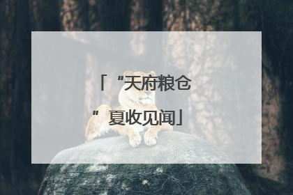 “天府粮仓”夏收见闻