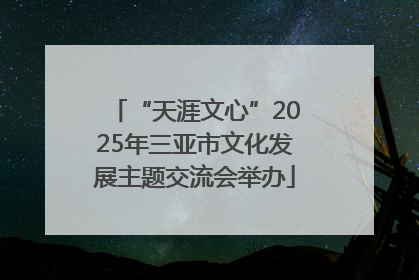 “天涯文心”2025年三亚市文化发展主题交流会举办