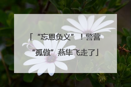 “忘恩负义”！警营“孤傲”燕隼飞走了