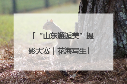 “山东邂逅美”摄影大赛｜花海写生