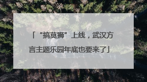 “搞莫狮”上线，武汉方言主题乐园年底也要来了