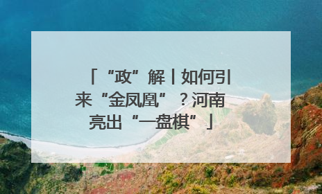 “政”解丨如何引来“金凤凰”？河南亮出“一盘棋”
