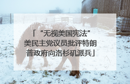 “无视美国宪法” 美民主党议员批评特朗普政府向洛杉矶派兵
