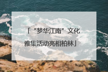 “梦华江南”文化雅集活动亮相柏林