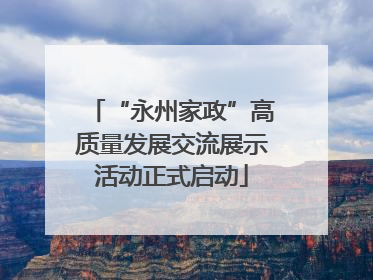 “永州家政”高质量发展交流展示活动正式启动