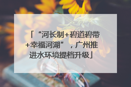 “河长制+碧道碧带+幸福河湖”，广州推进水环境提档升级