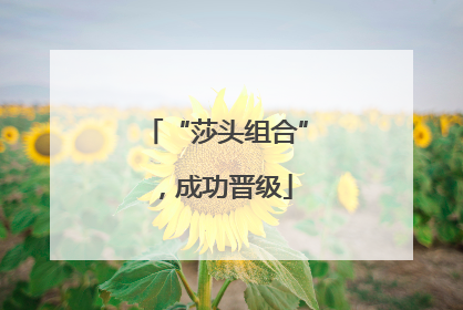 “莎头组合”，成功晋级