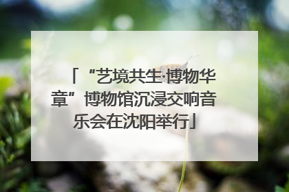 “艺境共生·博物华章”博物馆沉浸交响音乐会在沈阳举行