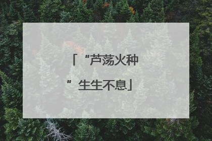 “芦荡火种”生生不息
