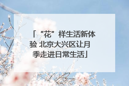 “花”样生活新体验 北京大兴区让月季走进日常生活