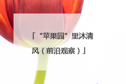 “苹果园”里沐清风（前沿观察）