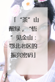 “茶”山醒绿，“悟”见金山：鄂北老区的振兴密码