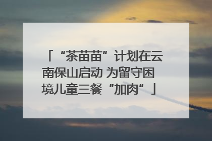 “茶苗苗”计划在云南保山启动 为留守困境儿童三餐“加肉”