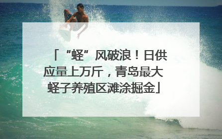 “蛏”风破浪！日供应量上万斤，青岛最大蛏子养殖区滩涂掘金