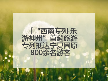 “西南专列·乐游神州”首趟旅游专列抵达宁夏固原 800余名游客开启清凉之旅