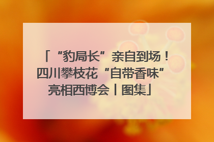 “豹局长”亲自到场！四川攀枝花“自带香味”亮相西博会丨图集