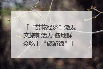 “赏花经济”激发文旅新活力 各地群众吃上“旅游饭”