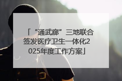 “通武廊”三地联合签发医疗卫生一体化2025年度工作方案